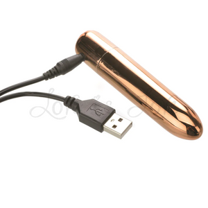 Adam & Eve Eve's Copper Cutie Rechargeable Bullet Vibrator Buy in Singapore LoveisLove U4ria