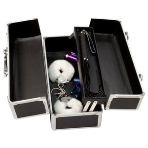 BMS Factory Lockable Toys Storage Case  Buy in Singapore LoveisLove U4Ria 