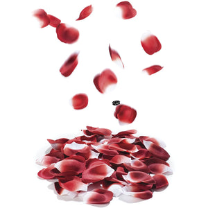 Bijoux Indiscrets Rose Petal Explosion Buy in Singapore LoveisLove U4Ria 