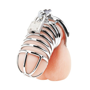 Blueline C&B Deluxe Chastity Cage love is love buy sex toys in singapore u4ria loveislove
