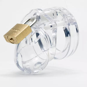 CB-X Mini Me Chastity Cage Clear or Pink Buy in Singapore LoveisLove U4Ria