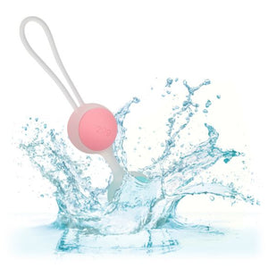 CalExotics She-ology Interchangeable Weighted Kegel Set Multi Colour Buy in Singapore LoveisLove U4Ria 
