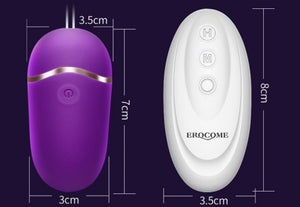 Erocome Ursa Minor Remote Control