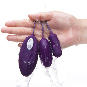 Erocome Lyra Duo Remote Control Egg Vibrator Purple Buy in Singapore LoveisLove U4ria 