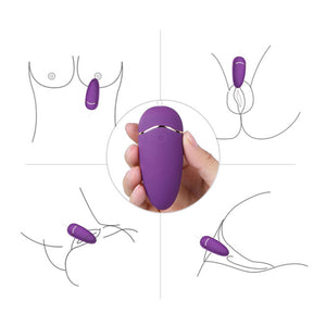 Erocome Ursa Major Remote Control With Heating Purple buy in Singapore LoveisLove U4ria