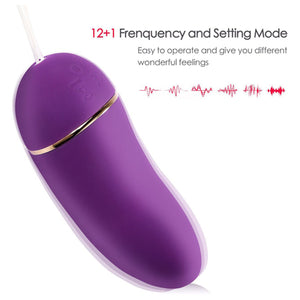 Erocome Ursa Major Remote Control With Heating Purple buy in Singapore LoveisLove U4ria