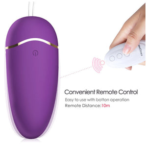 Erocome Ursa Major Remote Control With Heating Purple buy in Singapore LoveisLove U4ria