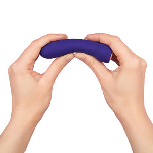 FemmeFunn Booster Bullet Silicone 20 Function 4.5 Inch Purple or Maroon Buy in Singapore LoveisLove U4Ria 