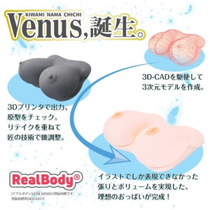 Japan SSI Real Body Kiwami Namachichi Venus Breasts 2.6 kg Buy in Singapore LoveisLove U4Ria