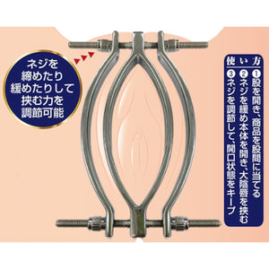 Japan A-One Pussy Clamp Labia-Spreading BDSM Tool Buy in Singapore LoveisLove U4Ria 