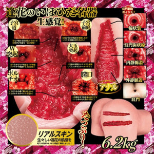 Japan NPG Aika Yamagishi Gokujo Namagoshi Ultimate Hips Onahole 6.2KG Buy in Singapore LoveisLove U4ria 