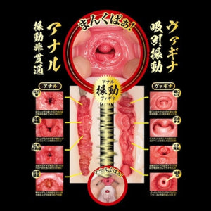 Japan NPG Mina Kitano Namagoshi Meiki Vibrating and Sucking Buttocks Onahole 6 KG Buy in Singapore LoveisLove U4Ria 
