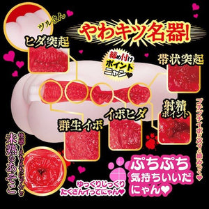 Japan NPG Nekomimi Nyan Nyan Ichika Matsumoto Catgirl Onahole 430g Buy in Singapore LoveisLove U4ria
