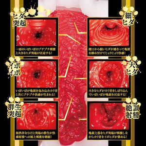 Japan NPG Nekomimi Nyan Nyan Ichika Matsumoto Catgirl Onahole 430g Buy in Singapore LoveisLove U4ria
