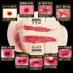 Japan NPG 2 Holes Raw Eimi Fukada Dual Hole Onahole 3.1kg love is love buy sex toys in singapore u4ria