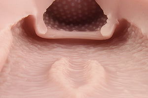 Japan Tomax Lilith Uterus (Authorized Dealer)
