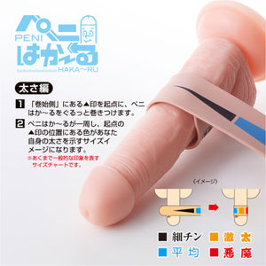 Japan World Crafts Hakaru Penis Measuring Ruler Buy in Singapore LoveisLove U4Ria 