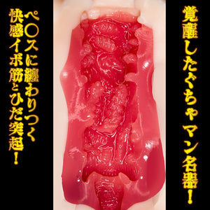 Japan NPG Meiki Awakening Minami Aizawa 450 G