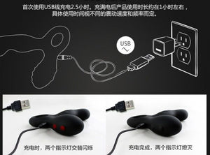 Nomi Tang Spotty 2 Remote Control Vibrating and Revolving Prostate Massager (New Version)(Pre Order Item)
