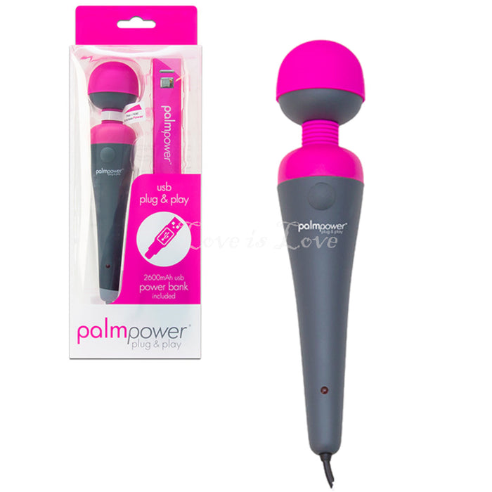 PalmPower Plug & Play Wand Massager