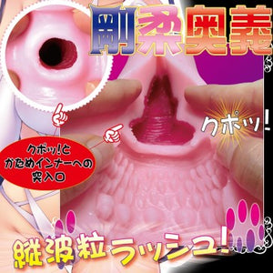 Ride Japan Tenka Ikketsu Goujyu Nisouhenge Onahole 390g Buy in Singapore LoveisLove