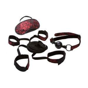 Scandal Bed Restraint Kit buy in Singapore LoveisLove U4ria
