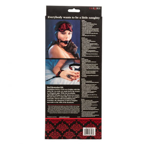 Scandal Bed Restraint Kit buy in Singapore LoveisLove U4ria
