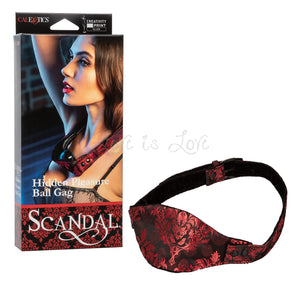 Scandal Hidden Pleasure Ball Gag buy in Singapore LoveisLove U4ria