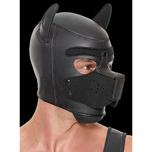 Shots Ouch! Puppy Play Hood Neoprene Black Buy in Singapore LoveisLove U4Ria