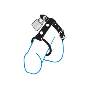 Spartacus Locking C&B Penis Harness Buy in Singapore LoveisLove U4Ria 