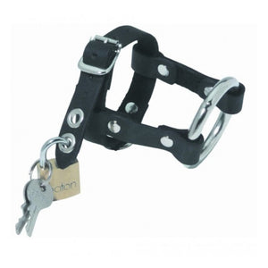 Spartacus Locking C&B Penis Harness Buy in Singapore LoveisLove U4Ria 