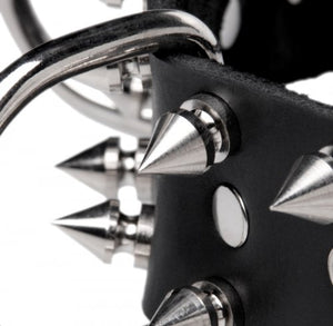 Strict Leather Lockable Spiked Dog Collar (Good Reviews)