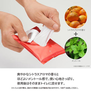 Tenga Vio Men's Sheet Wet-Type Cleaning Wipes 10's Buy in Singapore LoveisLove U4Ria 