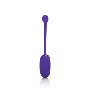 CalExotics Rechargeable Kegel Ball Starter Purple For Her - Kegel & Pelvic Exerciser CalExotics 