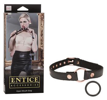 Entice Open Mouth Gag