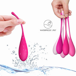 Feelztoys FemmeFit Pelvic Muscle Training Set 6 pcs For Her - Kegel & Pelvic Exerciser Feelztoys 