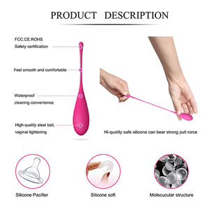 Feelztoys FemmeFit Pelvic Muscle Training Set 6 pcs For Her - Kegel & Pelvic Exerciser Feelztoys 