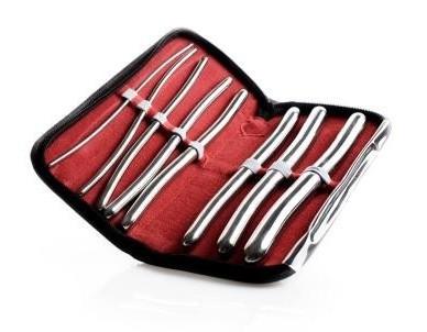 Hegar Urethral Dilator 8 pc Sounds Kit Set