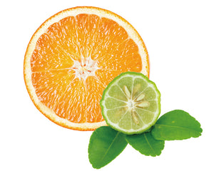 Tenga Iroha Intimate Wash Foam Bergamot Orange or Moist Jasmine or  Fresh Juniper Lime  Buy in Singapore LoveisLove U4Ria 