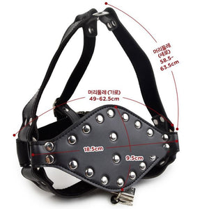 JAPAN KMP BONDAGE MOUTH GAG WITH LOCK SET AYU SAKURAI GODS-407 Buy in Singapore LoveisLove U4Ria 
