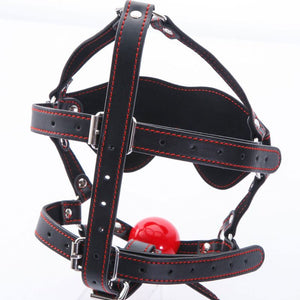 Japan NPG Benitsubaki Gag and Blindfold Head Harness Bondage - Ball & Bit Gags NPG 