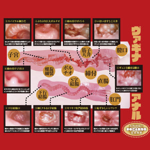 Japan NPG Meiki Third Generation Pussy And Ass Onahole Male Masturbators - Life/Hip Size NPG 