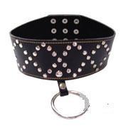 Lightweight Studded Collar With Leash B01 Bondage - Collars & Leash Shaki 
