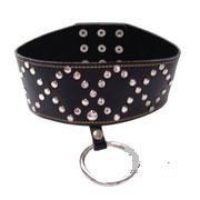 Lightweight Studded Collar With Leash B01 Bondage - Collars & Leash Shaki 