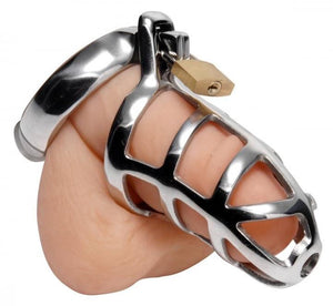 Master Series Detained Stainless Steel Chastity Cage For Him - Chastity Devices Master Series 