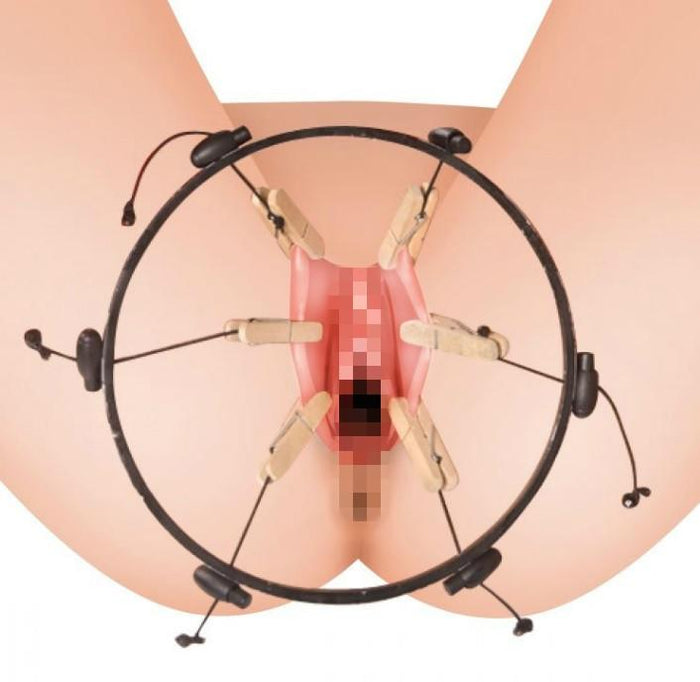 Master Series The Pussy Spreader Female Bondage Device (Just Sold)