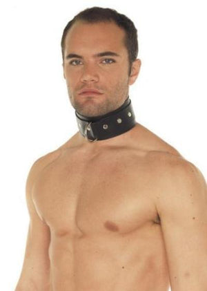 Rimba Wide Fleece Lined Leather Neck Cuff with D-Ring RIM 7654 Bondage - Collars & Leash Rimba 