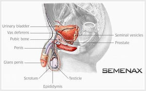 Semenax Pills Male Enhancement 120 Capsules For Him - Penis Enhancement Semenax 