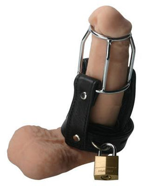 Strict Leather Stallion Guard Chastity Device For Him - Chastity Devices Strict Leather 