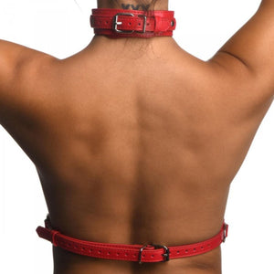 STRICT Red Female Chest Harness S/M or M/L Buy in Singapore LoveisLove U4Ria
